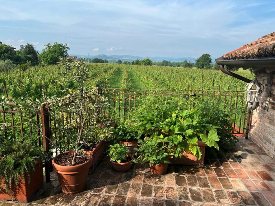 Casale Hortensia Reggio Emilia Exterior photo